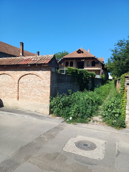 Orastie