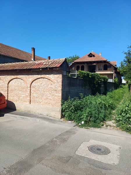 Orastie